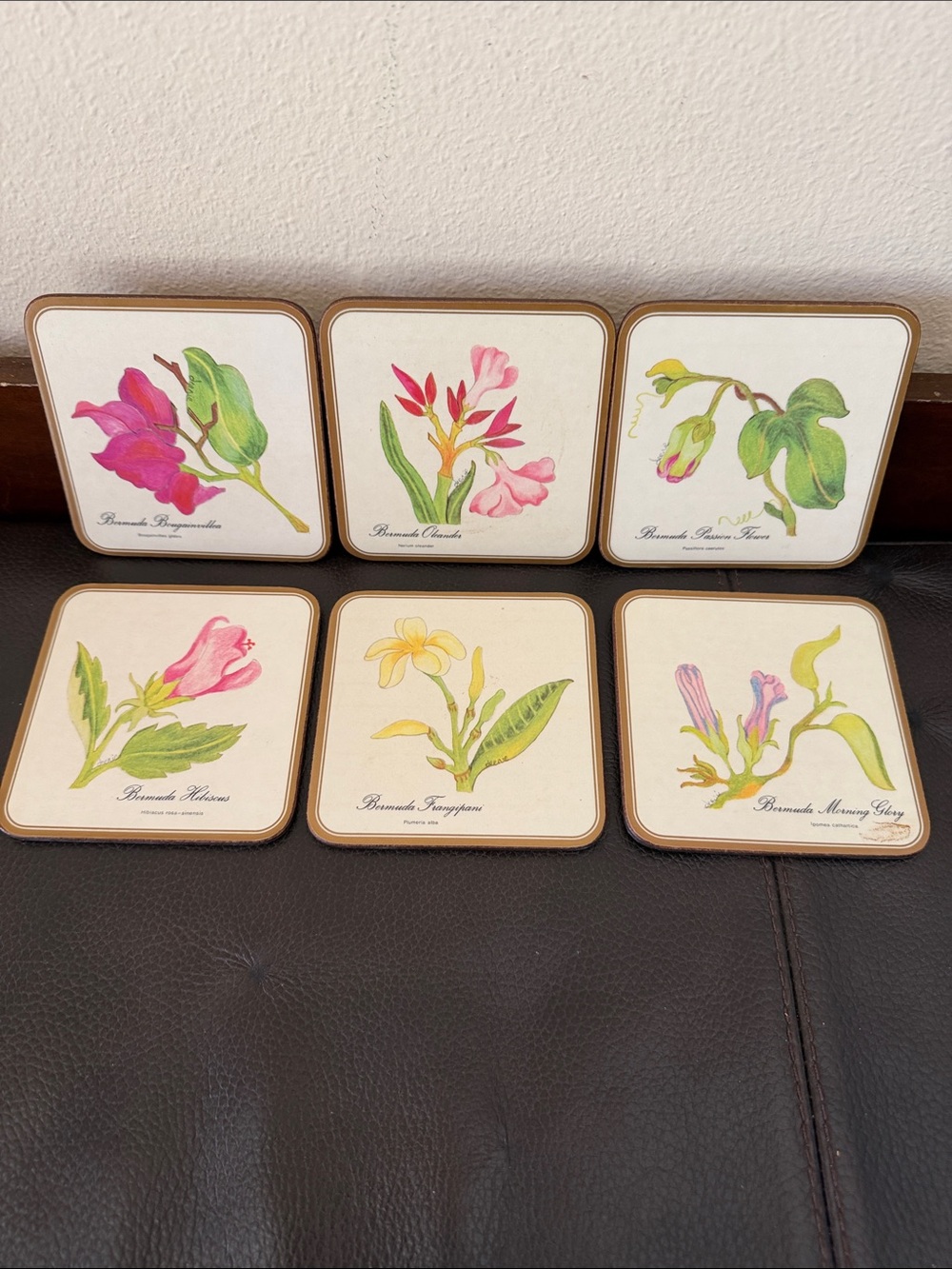 Vintage Acrylic Pimpernel Cork-Backed Coasters Set of 6 Bermuda Flowers Series